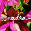 Nome Argento Fashion - immagine 5
